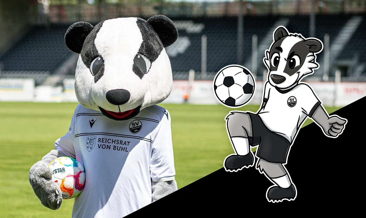 Hardi Maskottchen Illustration Fußball - Maskottchen Hardi Fußball im Stadion des SV Sandhausen
