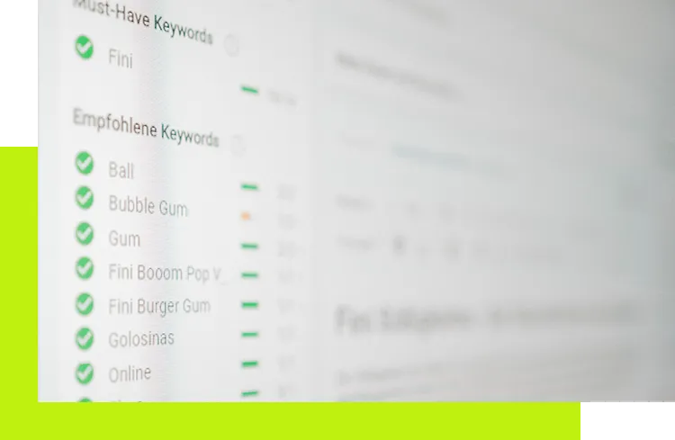 Landingpages Heidelberg designen lassen - zeigt Keywordsetting für SEO-Texterstellung am Bildschirm