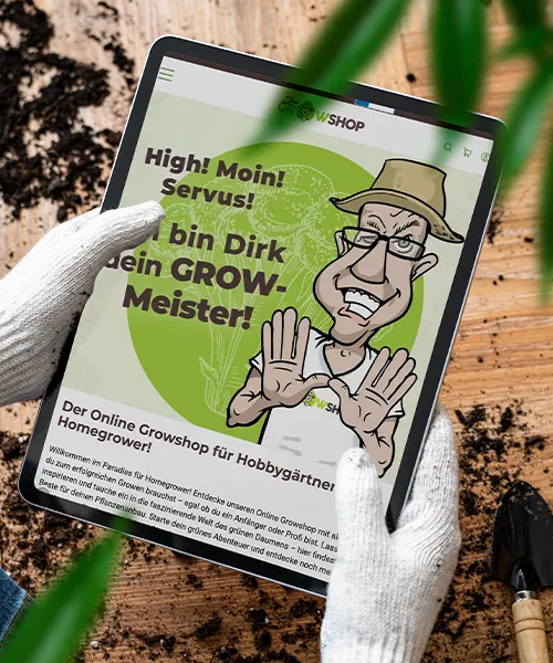 Dirks Growshop SEO-Projekt –Marktpositionierung im B2C-Bereich
